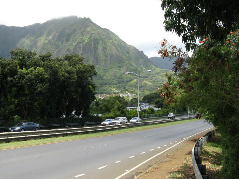 Car Rentals at the Honolulu Airport