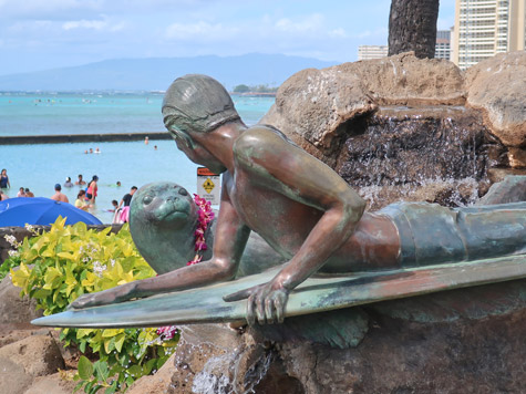 Surfer Boy and the Seal in Waikiki Hawaii